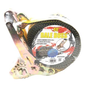 2″ x 40′ 10000-lb Ratchet Strap